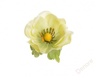 Anemonka - hlavička - světlá zelená