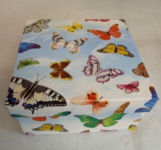 Dárková krabička motýli
