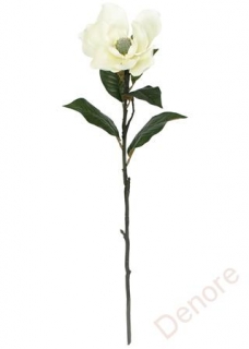 Magnolie 85 cm bílá