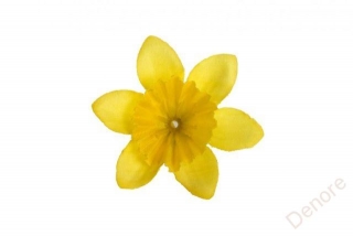 Narcis vazbový mini - žlutá