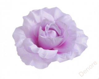 Růže - lila - 10 cm