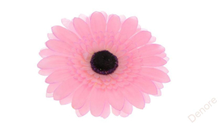 Gerbera - růžová 15 cm