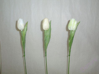 Tulipán 40 x 5 x 4 cm krém