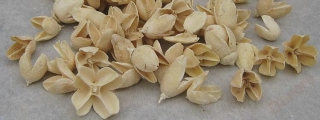 Sušina bakuli bělená 100 g