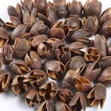 Sušina bakuli přírodní 200 g